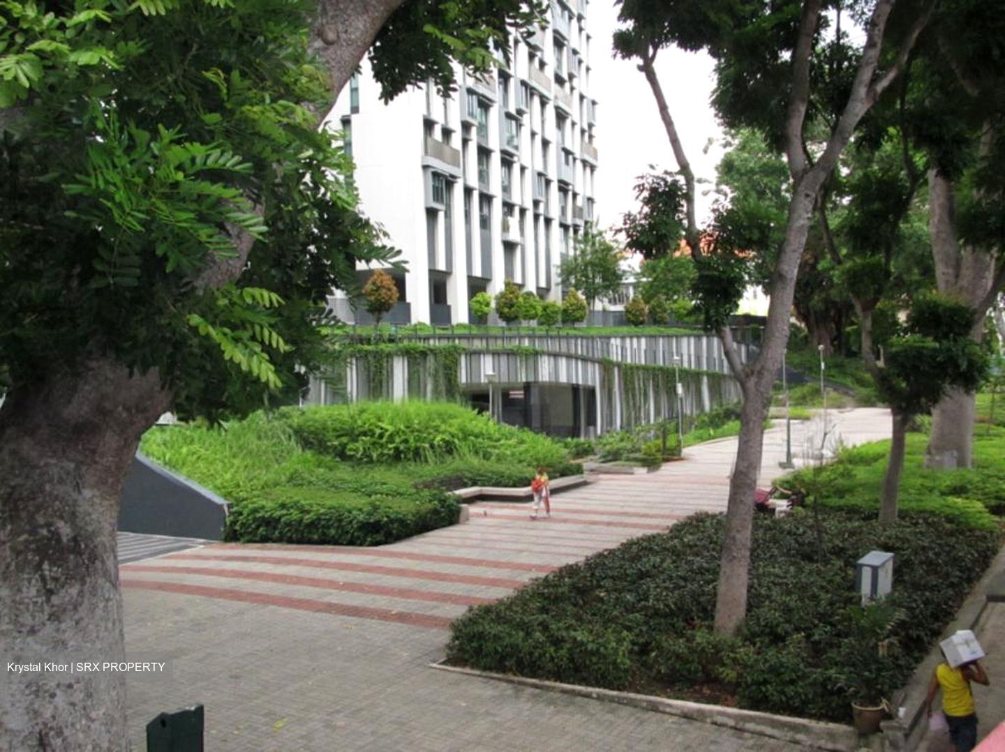 Craig Road (D2), Office #509856771